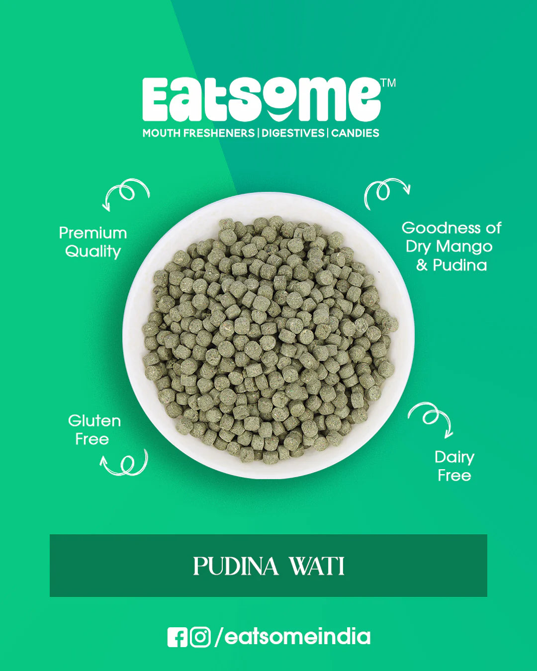 Pudina Wati